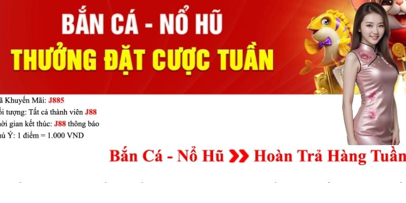 Chia sẻ chi tiết về ưu đãi thưởng hàng tuần cho ngư thủ